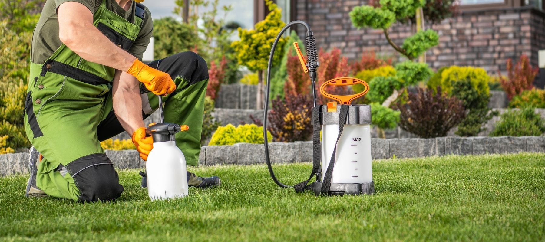 Pest Control Arizona